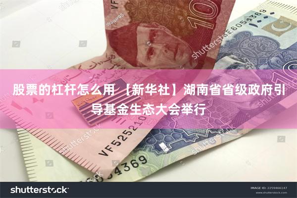 股票的杠杆怎么用 【新华社】湖南省省级政府引导基金生态大会举行