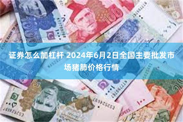 证券怎么加杠杆 2024年6月2日全国主要批发市场猪肺价格行情