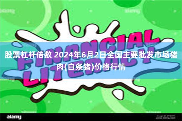 股票杠杆倍数 2024年6月2日全国主要批发市场猪肉(白条猪)价格行情