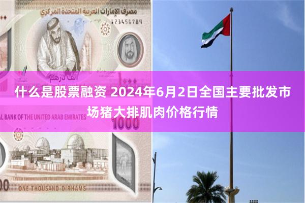 什么是股票融资 2024年6月2日全国主要批发市场猪大排肌肉价格行情