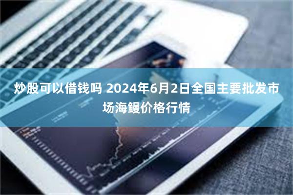 炒股可以借钱吗 2024年6月2日全国主要批发市场海鳗价格行情