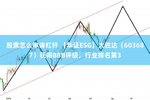 股票怎么申请杠杆 【华证ESG】大胜达（603687）获得BBB评级，行业排名第3