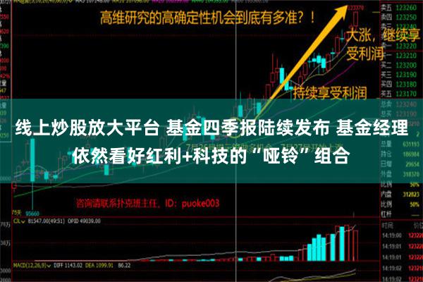 线上炒股放大平台 基金四季报陆续发布 基金经理依然看好红利+