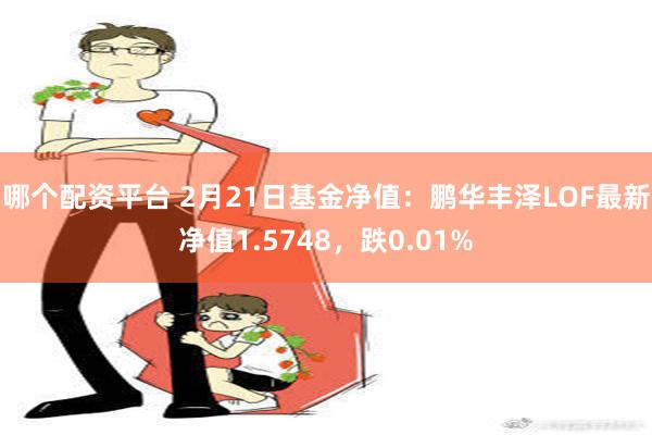 哪个配资平台 2月21日基金净值：鹏华丰泽LOF最新净值1.